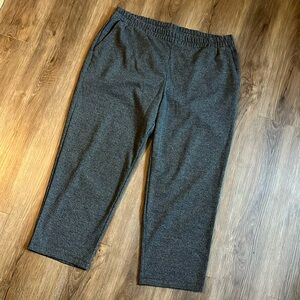 NWOT a new day Womens Trousers